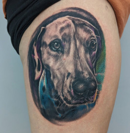 The Tattooed Arms | Lincoln Tattoo Shop