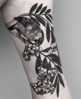 The Tattooed Arms | Lincoln Tattoo Shop